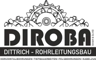 Diroba GmbH & Co. KG